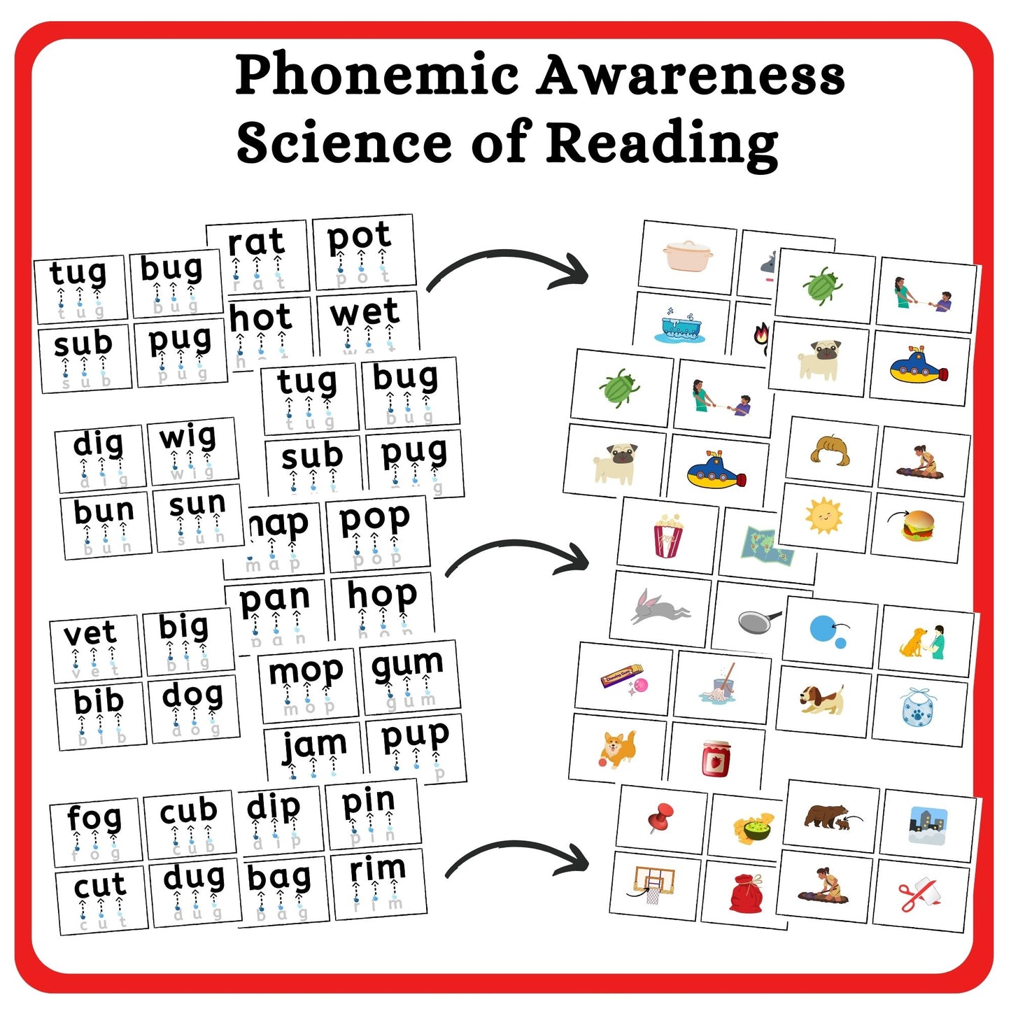 CVC Words Segmenting Cards - Front and Back