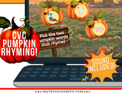 Pumpkin Rhyming Practice ⭐ Boom™ Activity