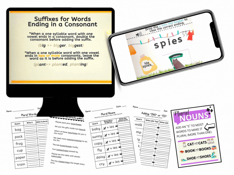 Membership Subscription with Science of Spelling Bundle*