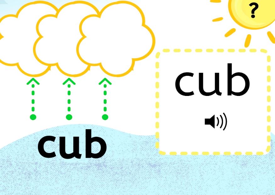 Mapping the CVC Words (100 Words)