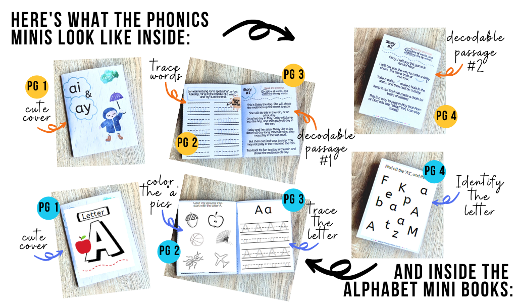 80+ Phonics Decodables & Alphabet Mini Books